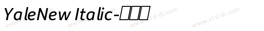 YaleNew Italic字体转换